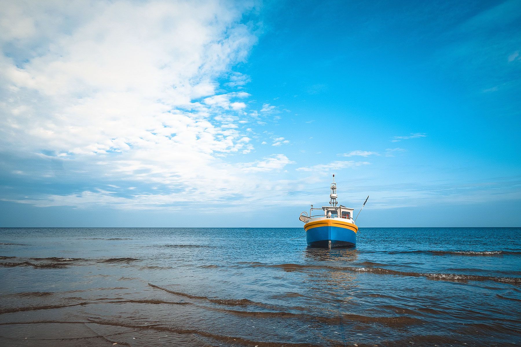 Eme Guard | AD Medida