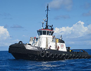  Grupo Marítimo Borinken (BMG)